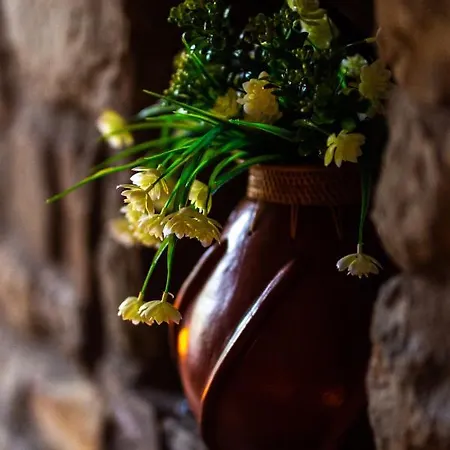 La Moara Boutique 3* Kraniá