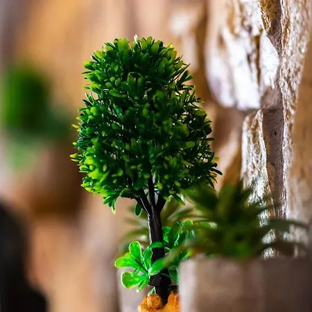 La Moara Boutique 酒店