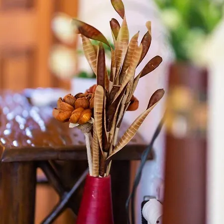 La Moara Boutique 酒店 Kraniá