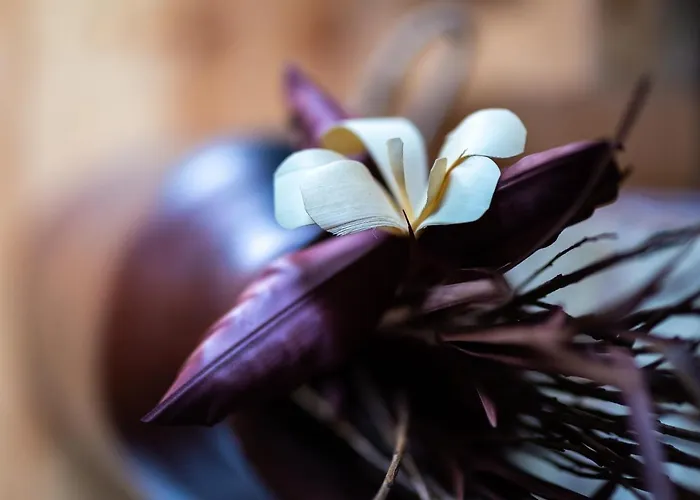 La Moara Boutique Hotel Kraniá