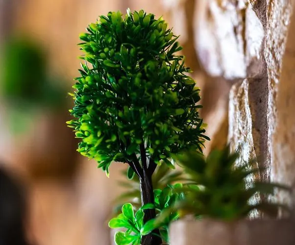 La Moara Boutique Hotel