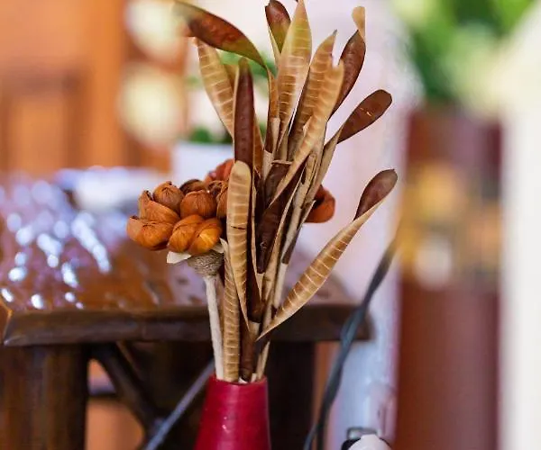 La Moara Hotel Krania